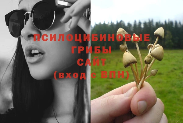 кокс Алексеевка