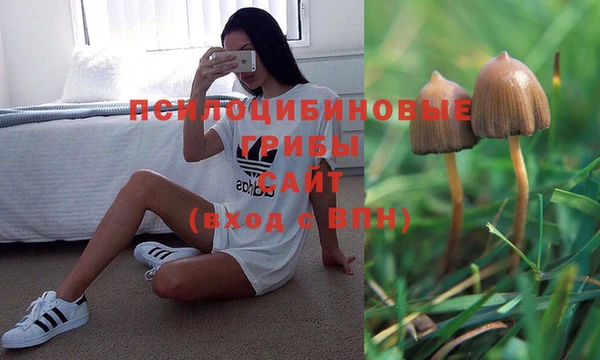 гидропоника Алексин