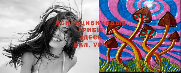 марки lsd Алзамай