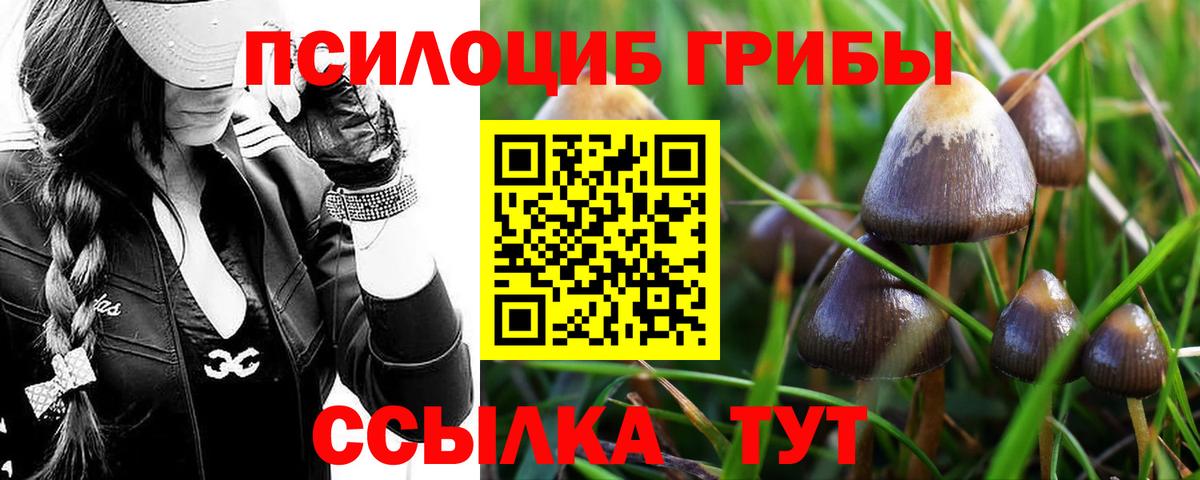 Галлюциногенные грибы Psilocybe  Вход с VPN  Галлюциногенные грибы Psilocybine cubensis  Пенза 